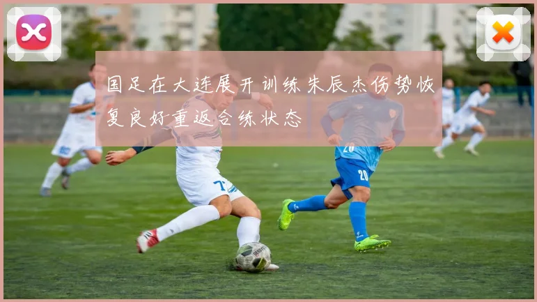 国足在大连展开训练朱辰杰伤势恢复良好重返合练状态